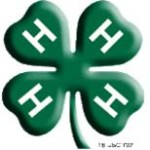 4-H clover 3-D