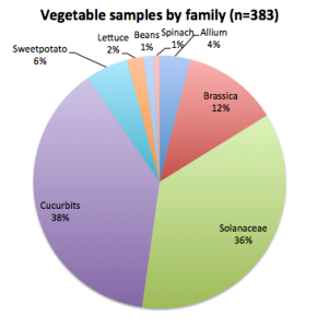 Cover photo for Vegetable Disease Diagnostics Report