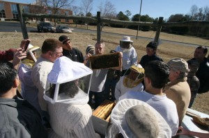 Cover photo for Register Now for 2015 Chatham County Beekeeping School