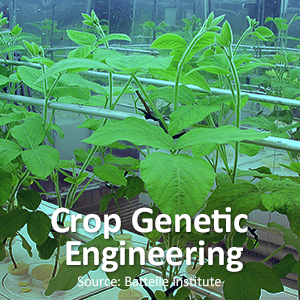 Cover photo for NC: A Life Science Leader Poised for More Growth in 6 ‘SuperScieNCe’ Sectors