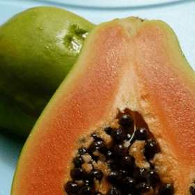 Cover photo for Video GMO Story: The Near Death and Rescue of the Hawaiian Papaya