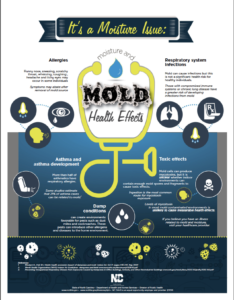 Cover photo for It's a Moisture Issue: Moisture and Mold Health Effects