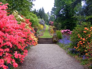 Garden Pathway with azaleas, irises and inviting trail up an incline.