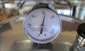 Cover photo for Free Pressure Canner Dial Gauge Testing / Inspection