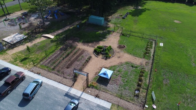 Image of community garden