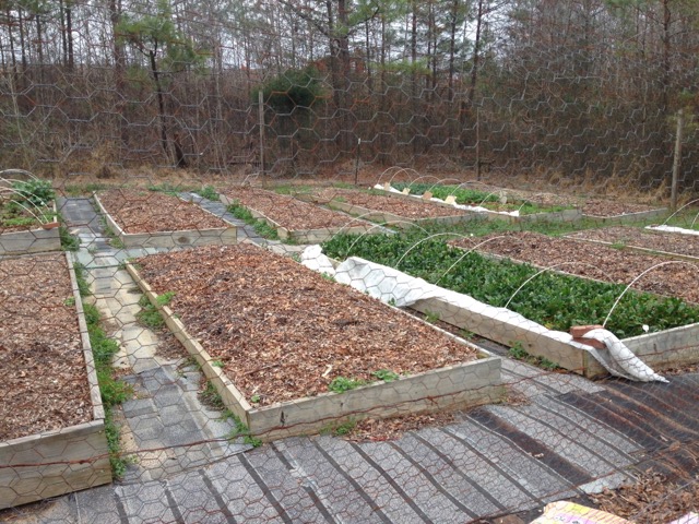 Image of community gardens