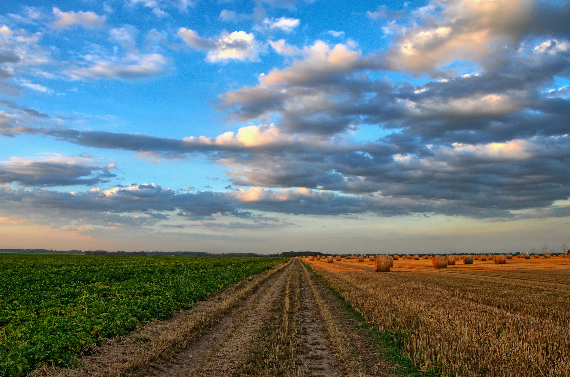 Image of a farm field