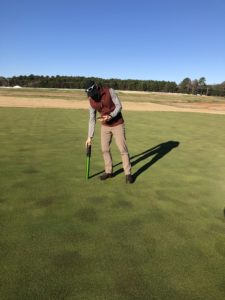 Cover photo for Advancing Knowledge Through Turfgrass Center Research – Rufty
