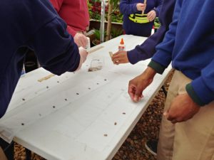 students making seed tape