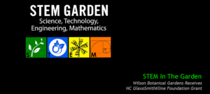 stem garden infographic slide