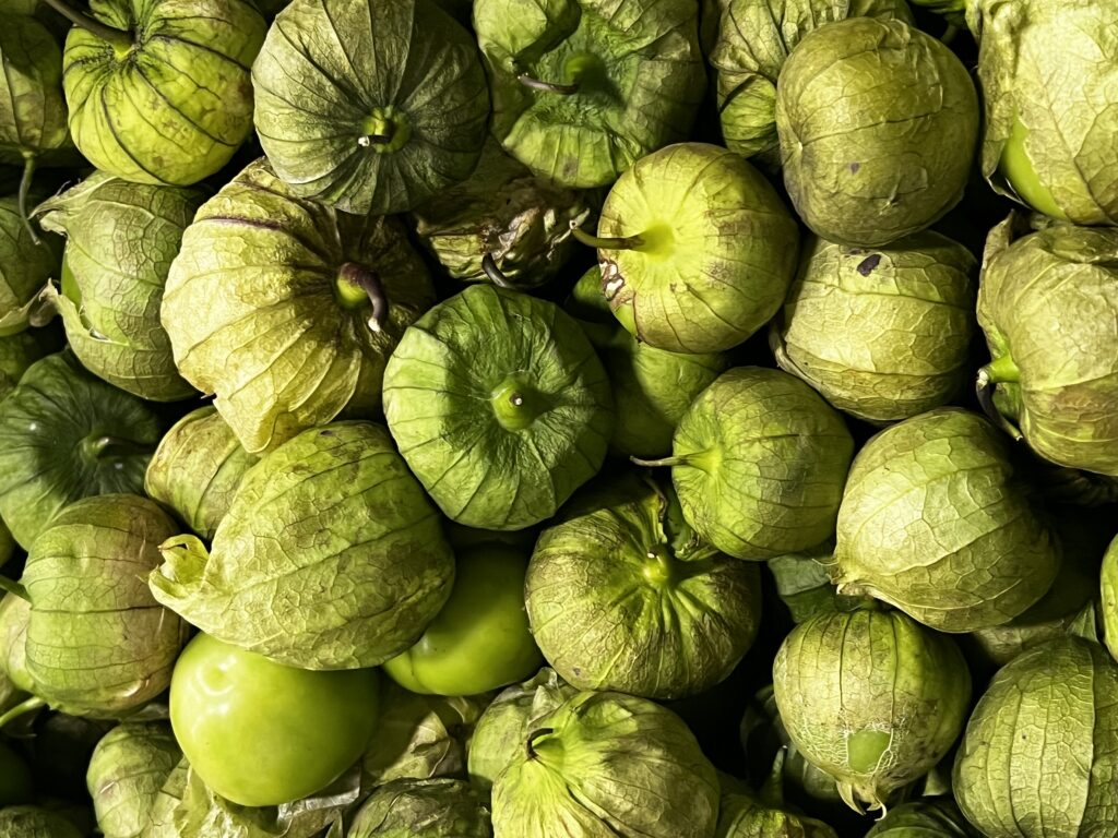 Green Tomatillas.