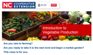 Cover photo for Introduction to Vegetable Production