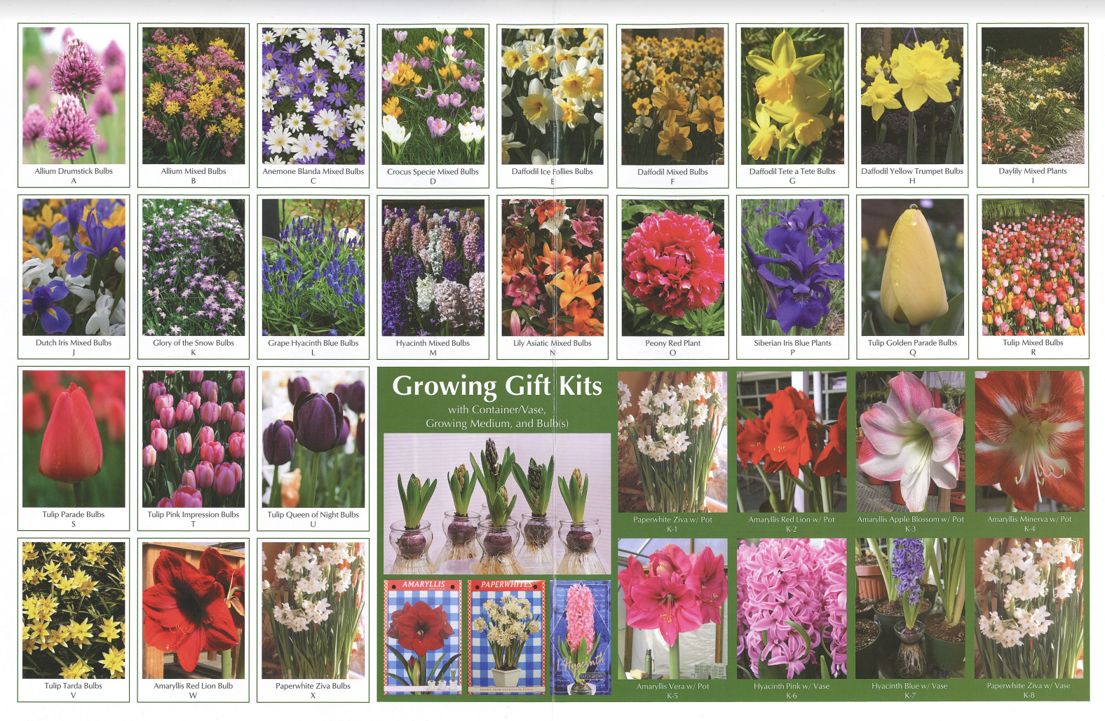 A growing gifts kits poster with a plethora of images of various flowers.