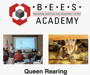 Cover photo for Beekeeping-Queen Rearing