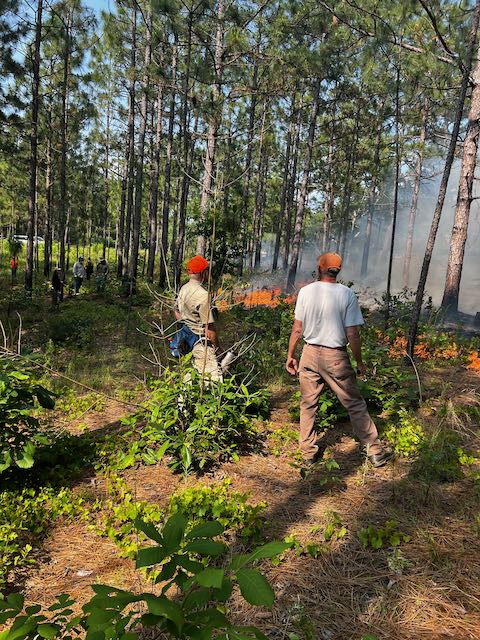 A group looks on at a controlled burn.