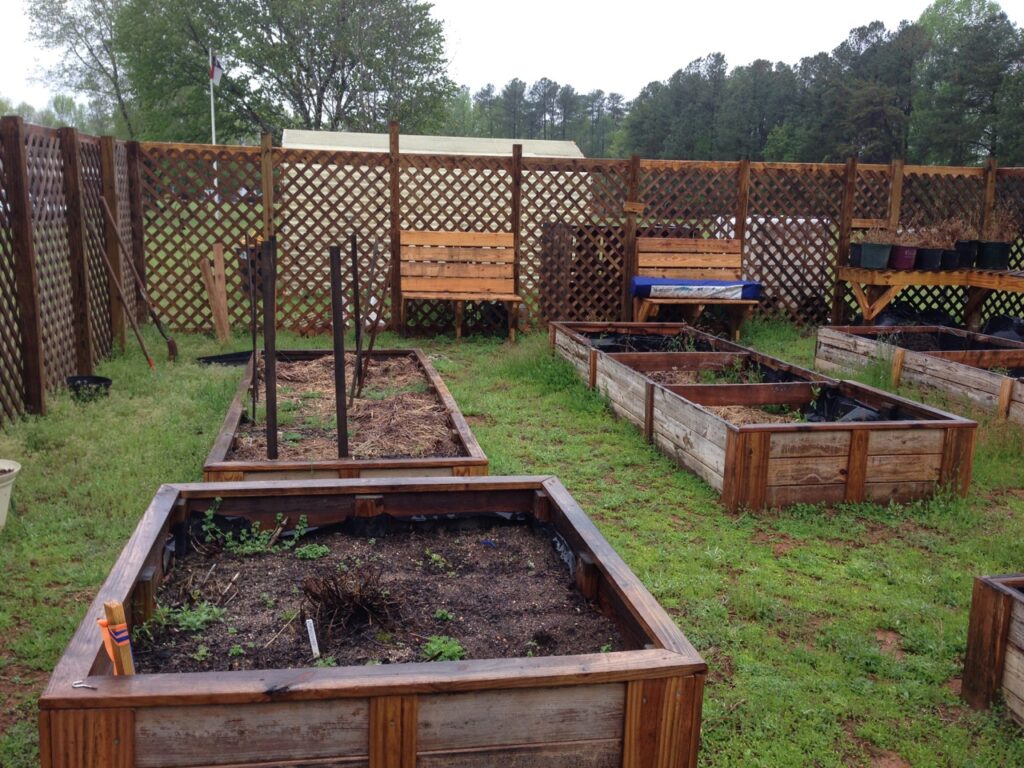A community garden of raised beds.