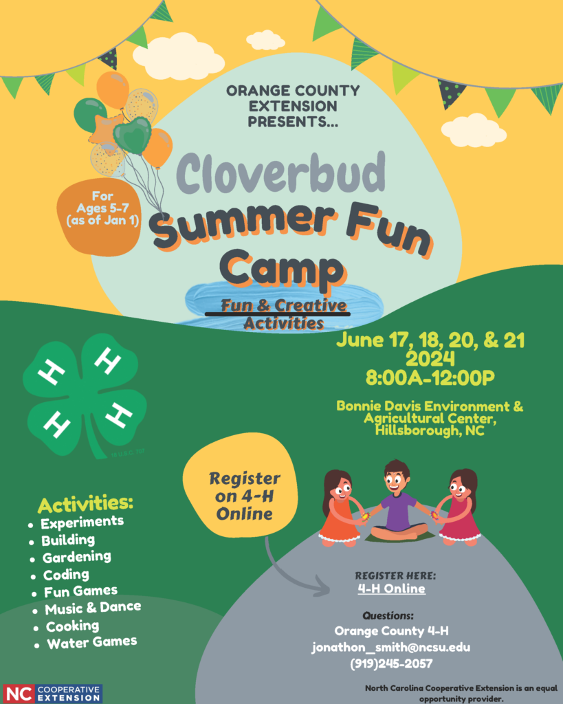 Cloverbud Summer Fun Camp