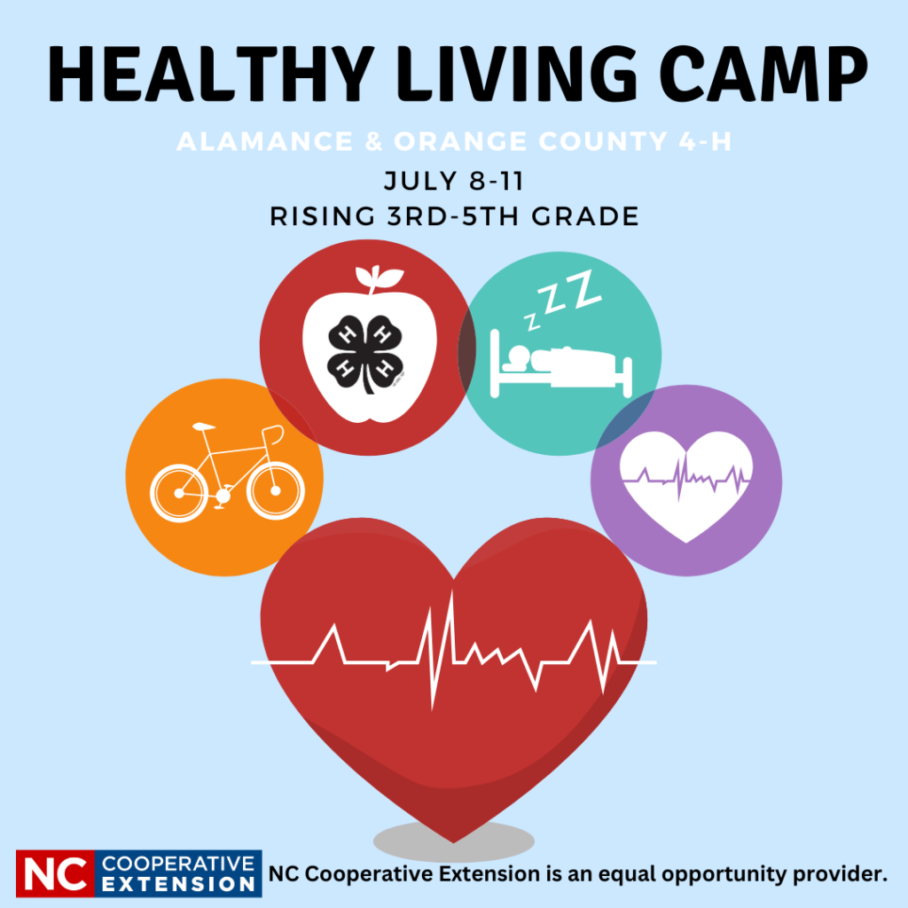 Healthy Living Camp