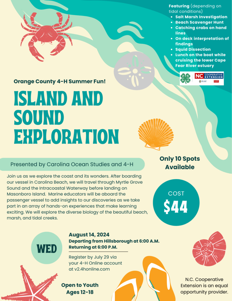 Island and Sound Exploration