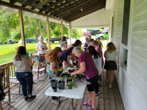 Cover photo for Registration Is Open for Wild Herb Weekend!