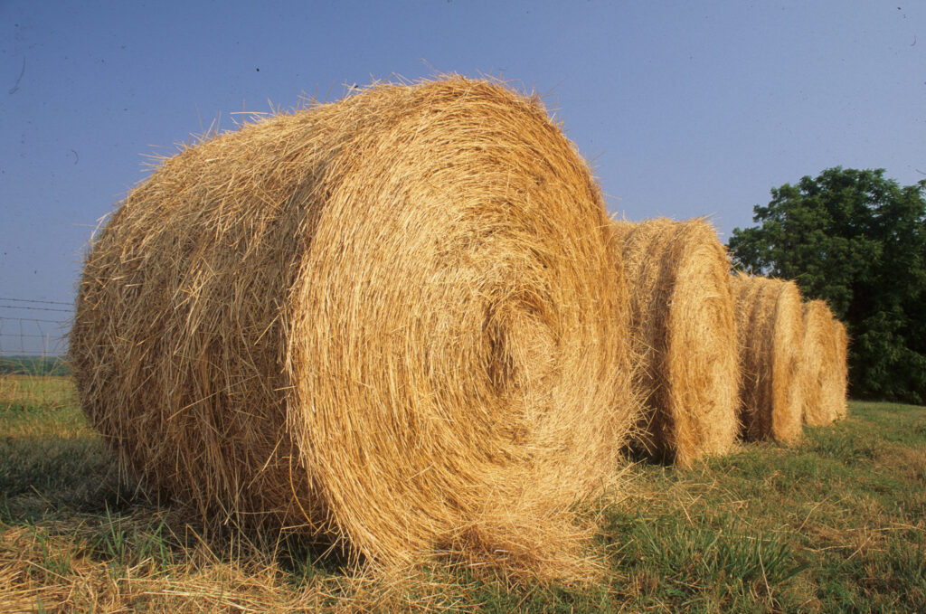 Hay Bale