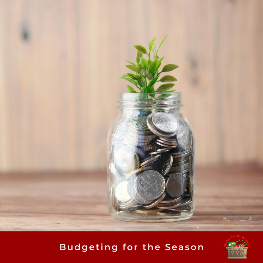 Budgeting Tips for the Season. Mason Jar with coins and plant growing out of top of glass.