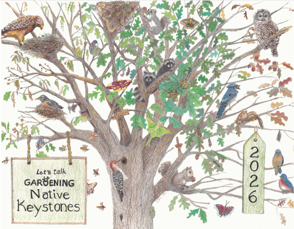 Front cover of calendar: Oak tree depicting 3 seasons; Spring, Summer, and Fall with supported birds, animals and insects.
